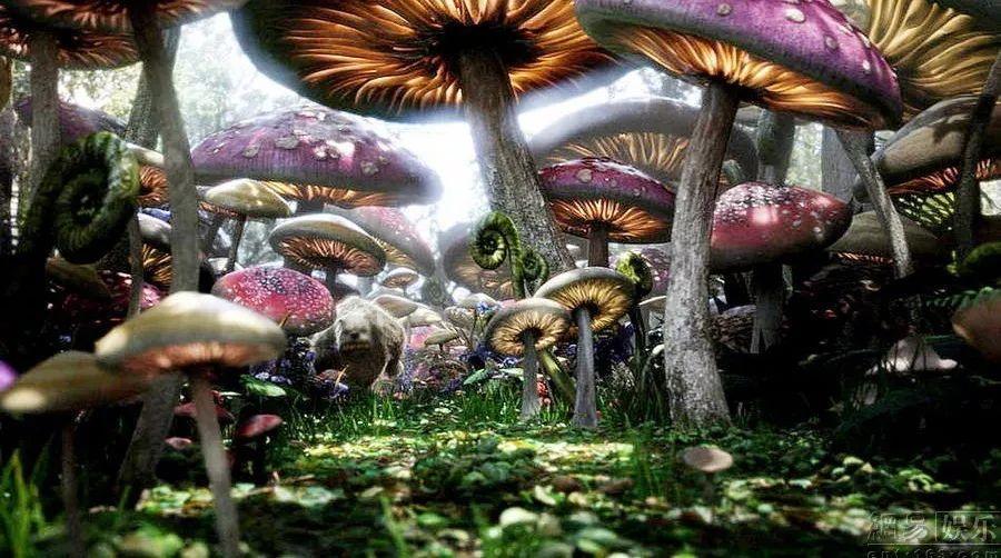 帕金森患者总是睡不着怎么办?
